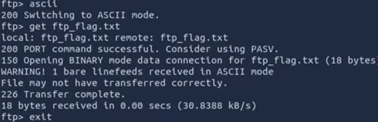 FTP download of ftp_flag.txt from quinn's account