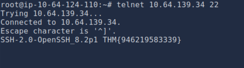 Telnet SSH request showing Server header with flag
